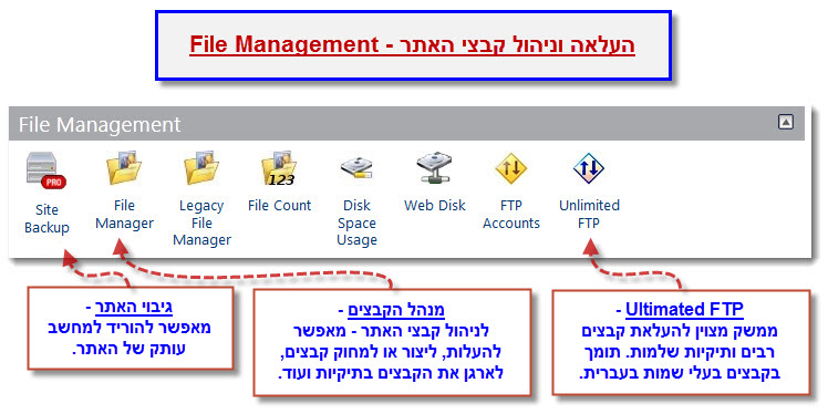 מדריך cPanel - ניהול קבצים