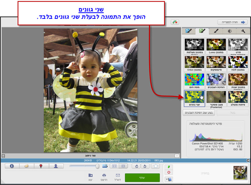 אפקט שני גוונים לתמונה Picasa Photo Editor 1