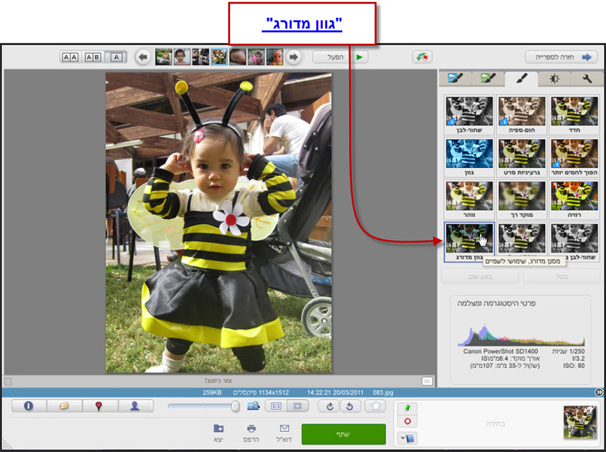 הוספת גוון מדורג לתמונה Picasa Photo Editor 1