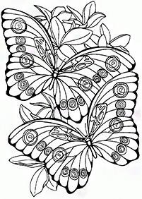 butterfly coloring pages - page 3