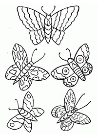 butterfly coloring pages - page 35
