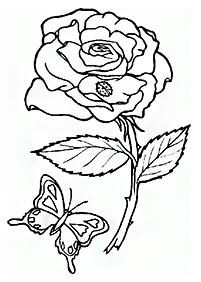 butterfly coloring pages - page 71
