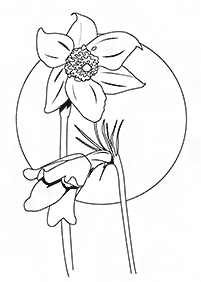 flower coloring pages - page 31