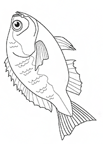 דפי צביעה דגים  - דף מס. 43