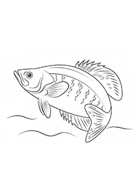 דפי צביעה דגים  - דף מס. 45