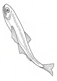 דפי צביעה דגים  - דף מס. 47