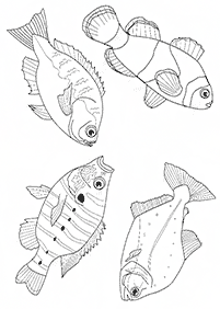 דפי צביעה דגים  - דף מס. 51