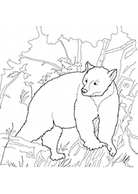 דפי צביעה דובים - דף מס. 29