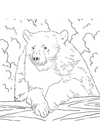 דפי צביעה דובים - דף מס. 37