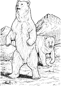 דפי צביעה דובים - דף מס. 41