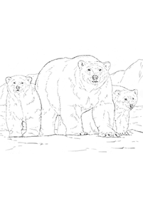 דפי צביעה דובים - דף מס. 57