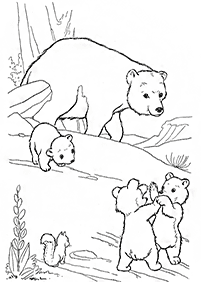 דפי צביעה דובים - דף מס. 67