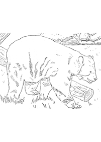 דפי צביעה דובים - דף מס. 77