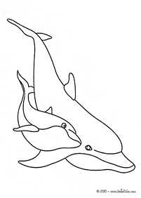 דפי צביעה דולפין - דף מס. 26
