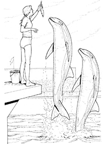 דפי צביעה דולפין - דף מס. 39