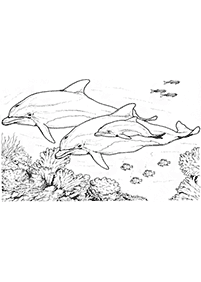 דפי צביעה דולפין - דף מס. 45