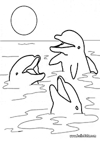 דפי צביעה דולפין - דף מס. 46
