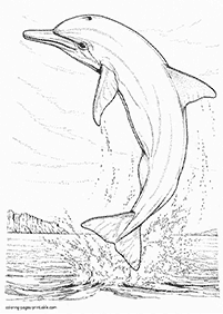 דפי צביעה דולפין - דף מס. 53
