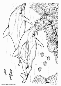דפי צביעה דולפין - דף מס. 61