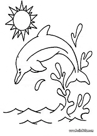 דפי צביעה דולפין - דף מס. 62