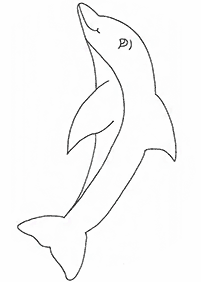 דפי צביעה דולפין - דף מס. 64