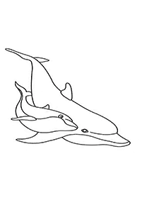 דפי צביעה דולפין - דף מס. 67