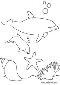 דפי צביעה דולפין - דף מס. 72