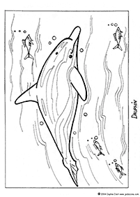 דפי צביעה דולפין - דף מס. 84