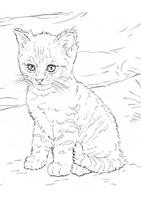 דפי צביעה של חתולים להדפסה  - דף מספר 1