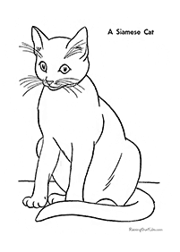 דפי צביעה של חתולים להדפסה  - דף מספר 19