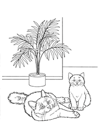 דפי צביעה של חתולים להדפסה  - דף מספר 21