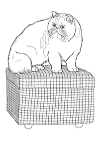 דפי צביעה של חתולים להדפסה  - דף מספר 33