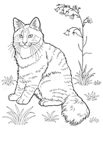 דפי צביעה של חתולים להדפסה  - דף מספר 37