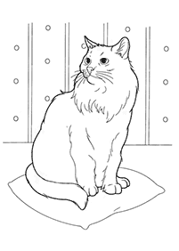 דפי צביעה של חתולים להדפסה  - דף מספר 41