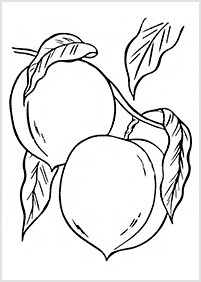 דפי צביעה פירות אפרסק - 3