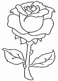 דפי צביעה פרחים (להדפסה) - דף מס. 77