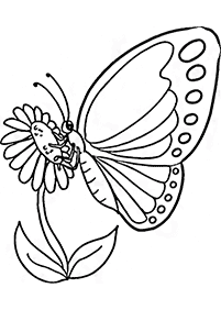 דפי צביעה של פרפרים להדפסה - דף מס. 41