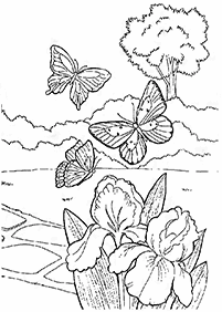 דפי צביעה של פרפרים להדפסה - דף מס. 68