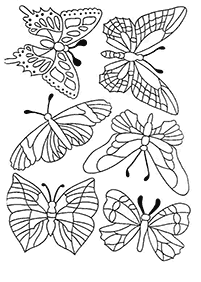 דפי צביעה של פרפרים להדפסה - דף מס. 80
