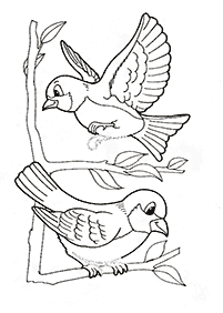 דפי צביעה ציפורים - דף מס. 12