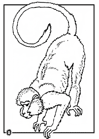 דפי צביעה קוף - דף מס. 34