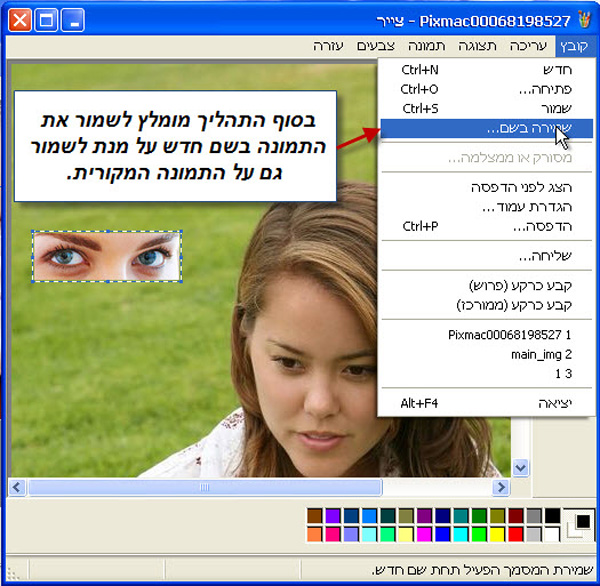מדריך העתקת חלק מתמונה עם תוכנת צייר של Win XP 5