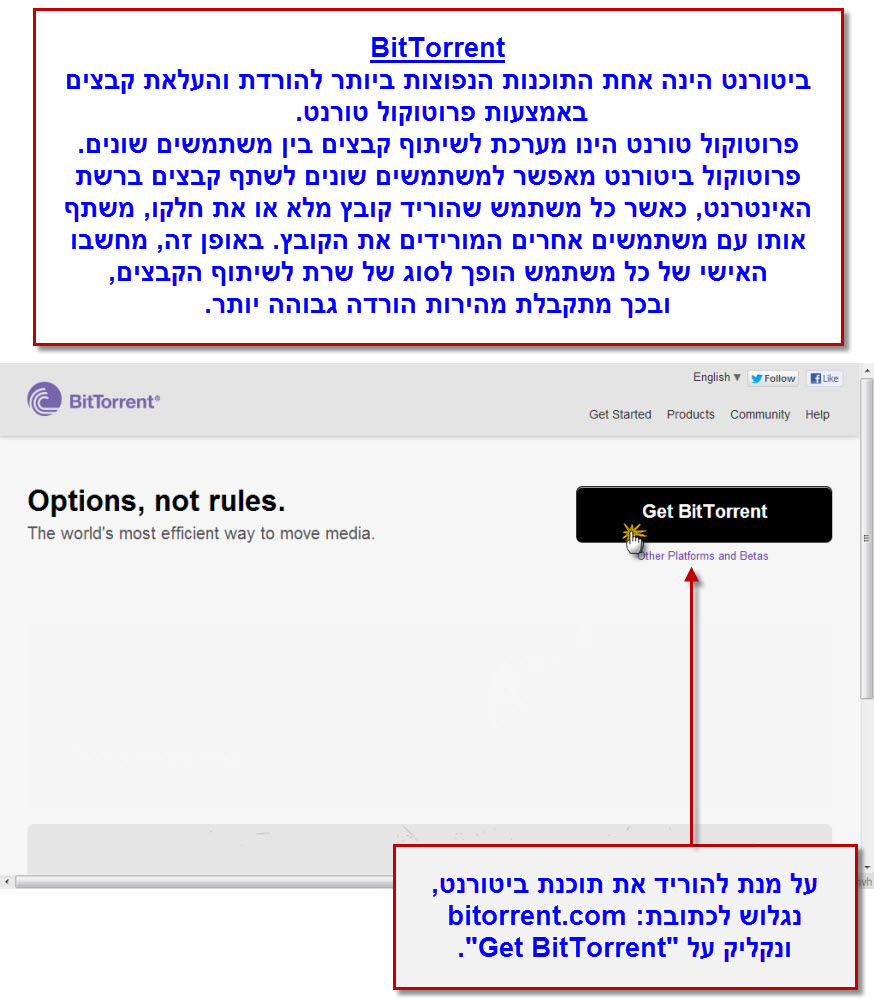 מדריך ביטורנט (BitTorrent) להורדה - 1