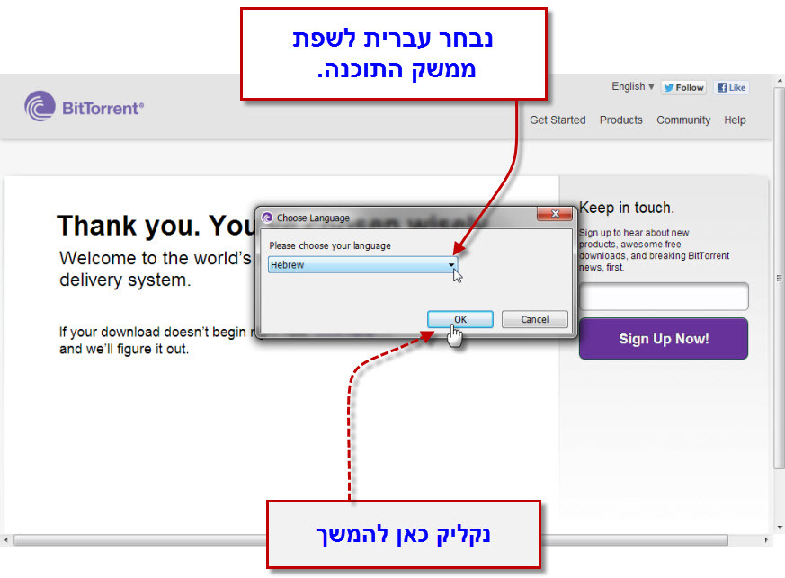 מדריך ביטורנט (BitTorrent) להורדה - 5