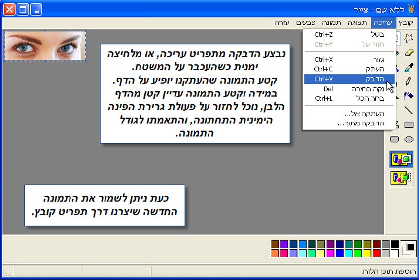 מדריך חיתוך תמונה עם תוכנת צייר של Win XP 10