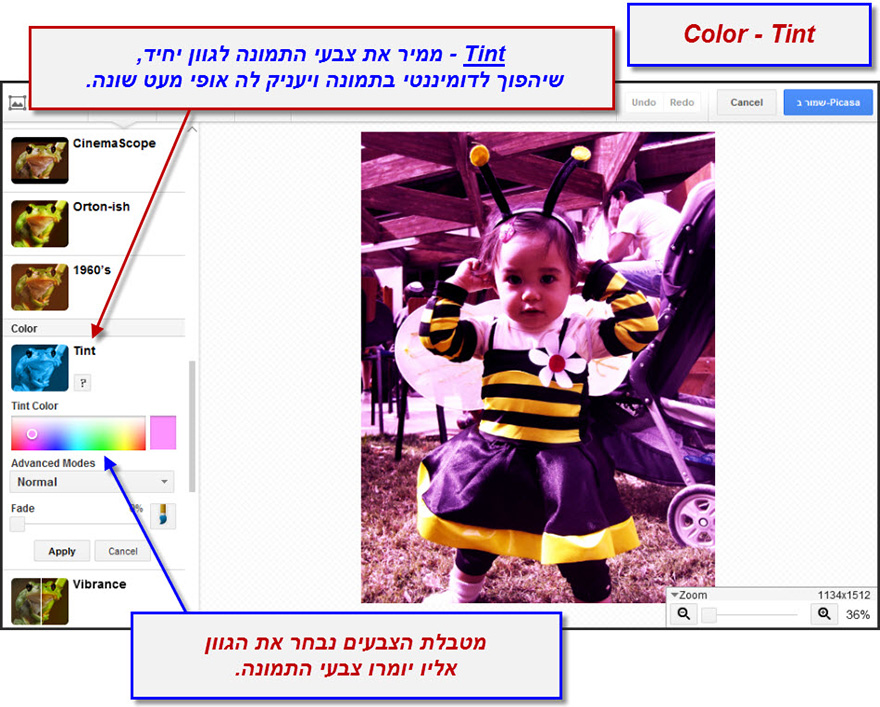 ערכת יצירה של פיקסה  Tint 1