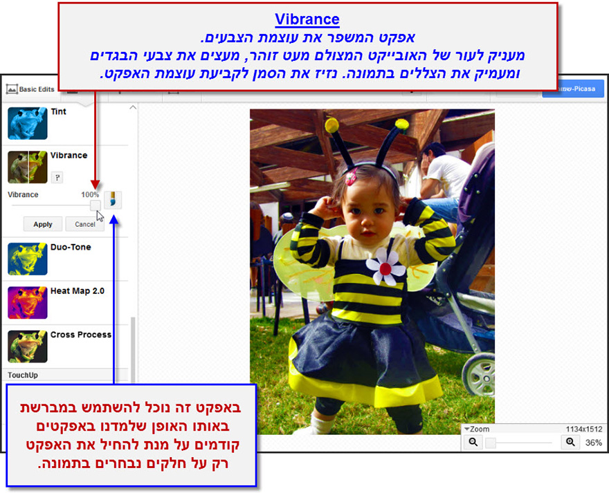 ערכת יצירה של פיקסה Vibrance