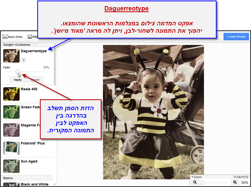 ערכת יצירה Google Effects 1