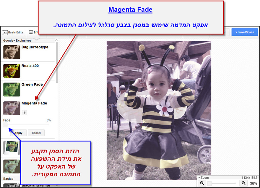 ערכת יצירה Google Effects 4