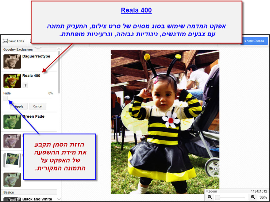 ערכת יצירה Google Effects 2